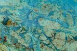 Polished Blue River Chrysocolla Slice - Arizona #167538-1